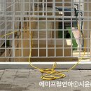 전설의치킨 성호리조트점
