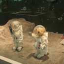 중문통나무휴양펜션 이미지