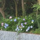 신선관