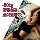 호이플랜 이미지