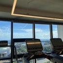 웰니스717 이미지