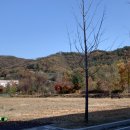 춘화국밥