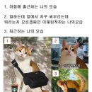 끄적끄적 이미지