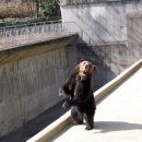 달성공원 이미지