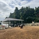 단비목장 이미지