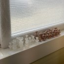 바로디엔지 이미지