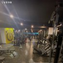 모슬피아짐 이미지