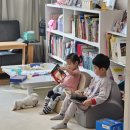 아람나무유치원 | 책육아를 이끌어줄 최적의 환경 거실서재화