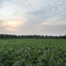 미래종합상사 이미지