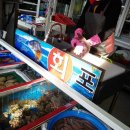 회천지 회타운 이미지