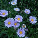 탄허기념박물관 이미지