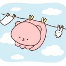 카페연곡리 이미지