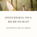 베스트오토서비스 | 반려견과 함께 즐기는 자연 속 힐링 캠핑 추천 베스트7