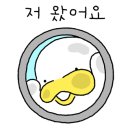 금자국수 이미지