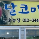 동호농장달코미복숭아 | [밀양] 달코미 복숭아, 복숭아 농장 추천