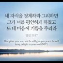 오늘의 '영어성경 사진'(874강) “네 아들을 훈련시켜라”(잠언 29장 17절) 이미지