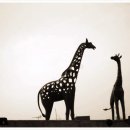 기린빌딩 이미지