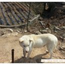 상학돌담길마을 이미지