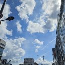 서울제일요양병원 | 삼성서울병원 서울아산병원 가까운 강남푸른숲한방병원 입원 후기 힐링미어플로 검색하기