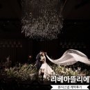 본식스냅 리베아뜰리에 더베뉴지 어두운홀 추천 계약후기 짝꿍코드할인