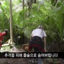 미주직구 이미지