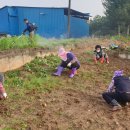 파주통일정보화마을 이미지