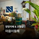 마음이동해 | 양양카페 소품샵 마음이동해 방문후기