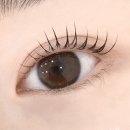 압구정속눈썹펌 다양한 컬로 어울리게