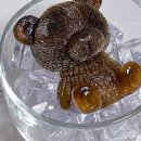 보나하우스 네이버블로그