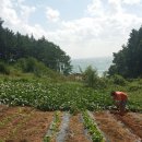 바다와 산사이 이미지