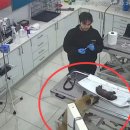 강아지와고양이나라 동물병원 이미지