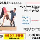 성지스포렉스