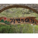 나무와 돌 이미지