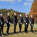 국제파크장 이미지