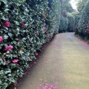 호근정원 이미지