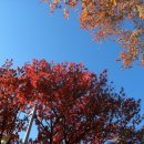 한 웅큼의 빛 이미지