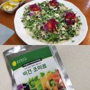베지랜드 이미지