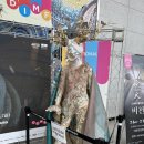 제18회 DIMF 공동 폐막작 <비천> 관람 후기🌿🐯✨