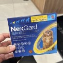 금천종로약국 이미지