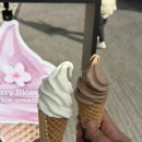 인천 송도 트리플스트리트 카페에서 아이스크림 먹고 오기 :) 인천 송도 현대 아울렛 카페 추천 솔직 후기!
