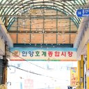 시장청년관양