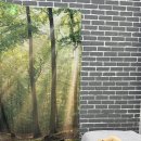 지원뷰티 | 경성대부경대역 속눈썹펌, 지원뷰티 방문 후기