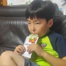 단양사과협동조합