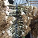 가을농원 이미지