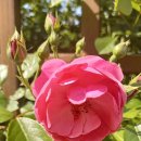 베말공원 이미지