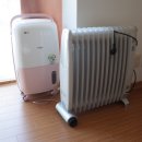 탄넨바움 이미지