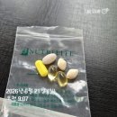(주)가야랜드 달빛야영장 | 김해 가야달빛야영장