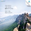 개별환경자원 이미지