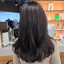 동탄역 미용실 꾸밈2 동탄점 밀본 클리닉 후기