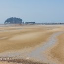 청포대 별주부 이미지